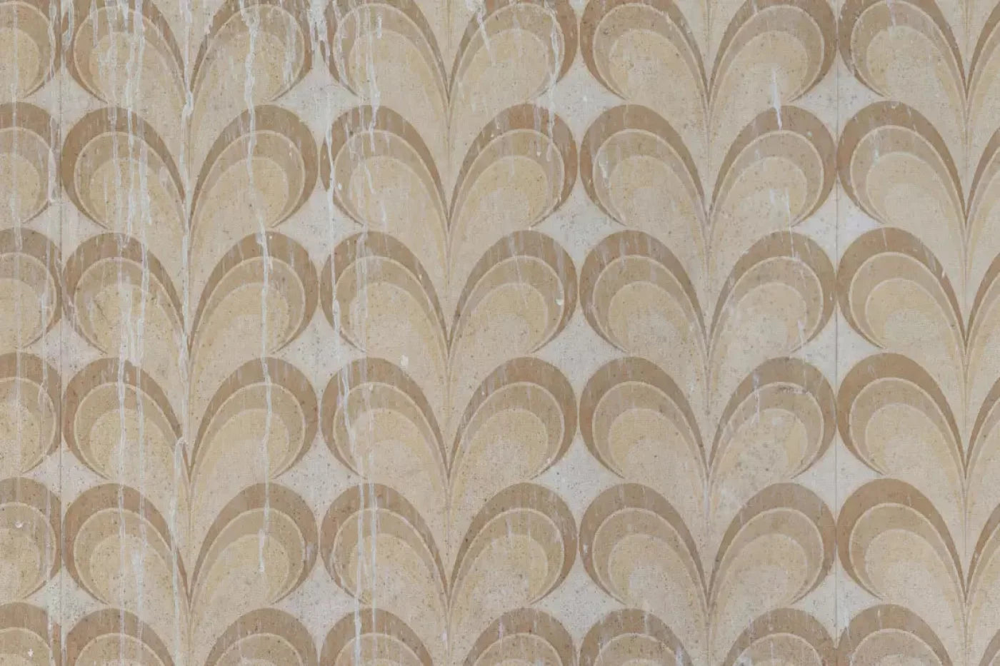 Fern Backdrop