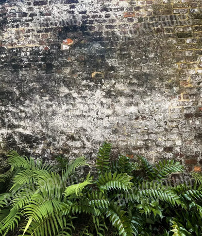 Fern Wall 10X12 Ultracloth ( 120 X 144 Inch ) Backdrop