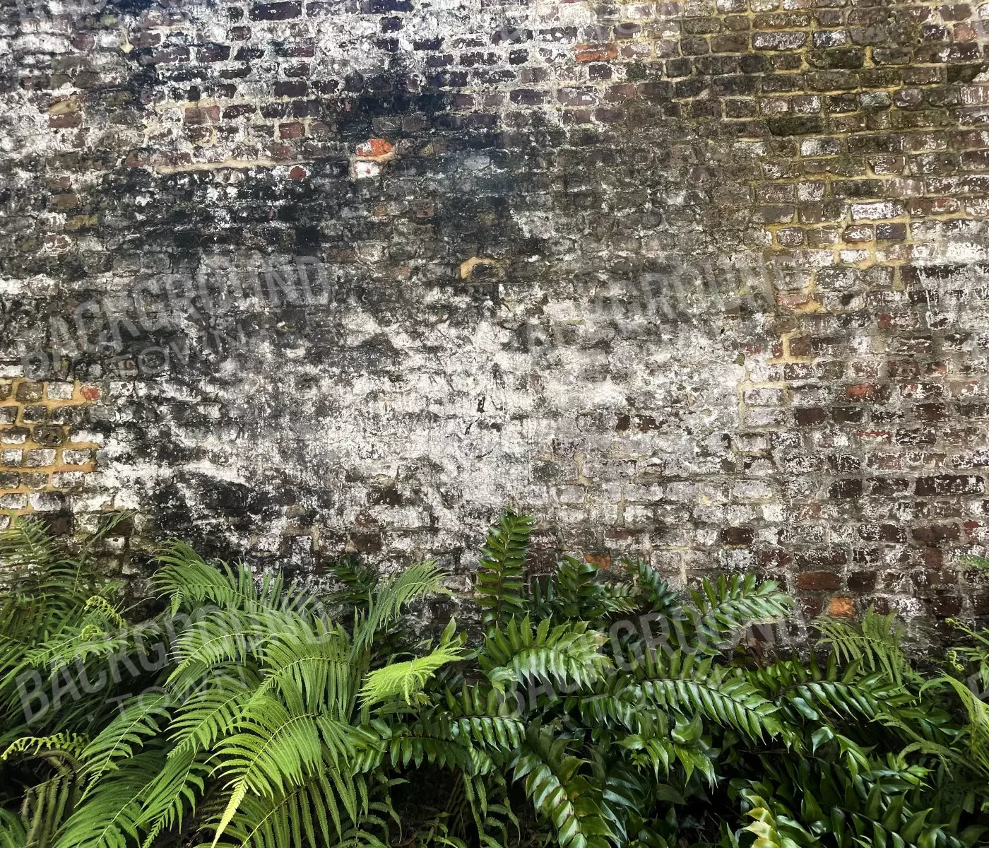 Fern Wall 12X10 Ultracloth ( 144 X 120 Inch ) Backdrop