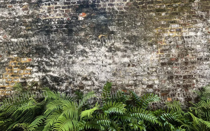 Fern Wall 14X9 Ultracloth ( 168 X 108 Inch ) Backdrop