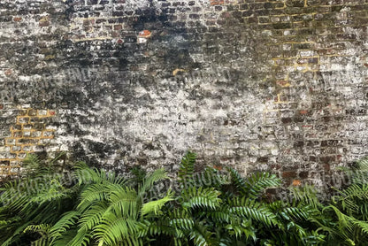 Fern Wall 8X5 Ultracloth ( 96 X 60 Inch ) Backdrop