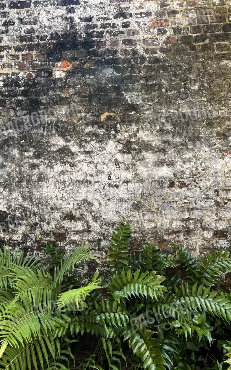 Fern Wall 9X14 Ultracloth ( 108 X 168 Inch ) Backdrop