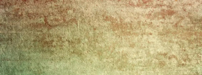 Festive 20X8 Ultracloth ( 240 X 96 Inch ) Backdrop