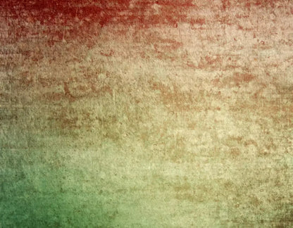 Festive 8X6 Fleece ( 96 X 72 Inch ) Backdrop