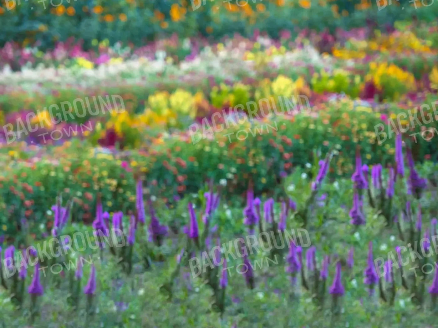 Fields Of Flowers 10X8 Fleece ( 120 X 96 Inch ) Backdrop