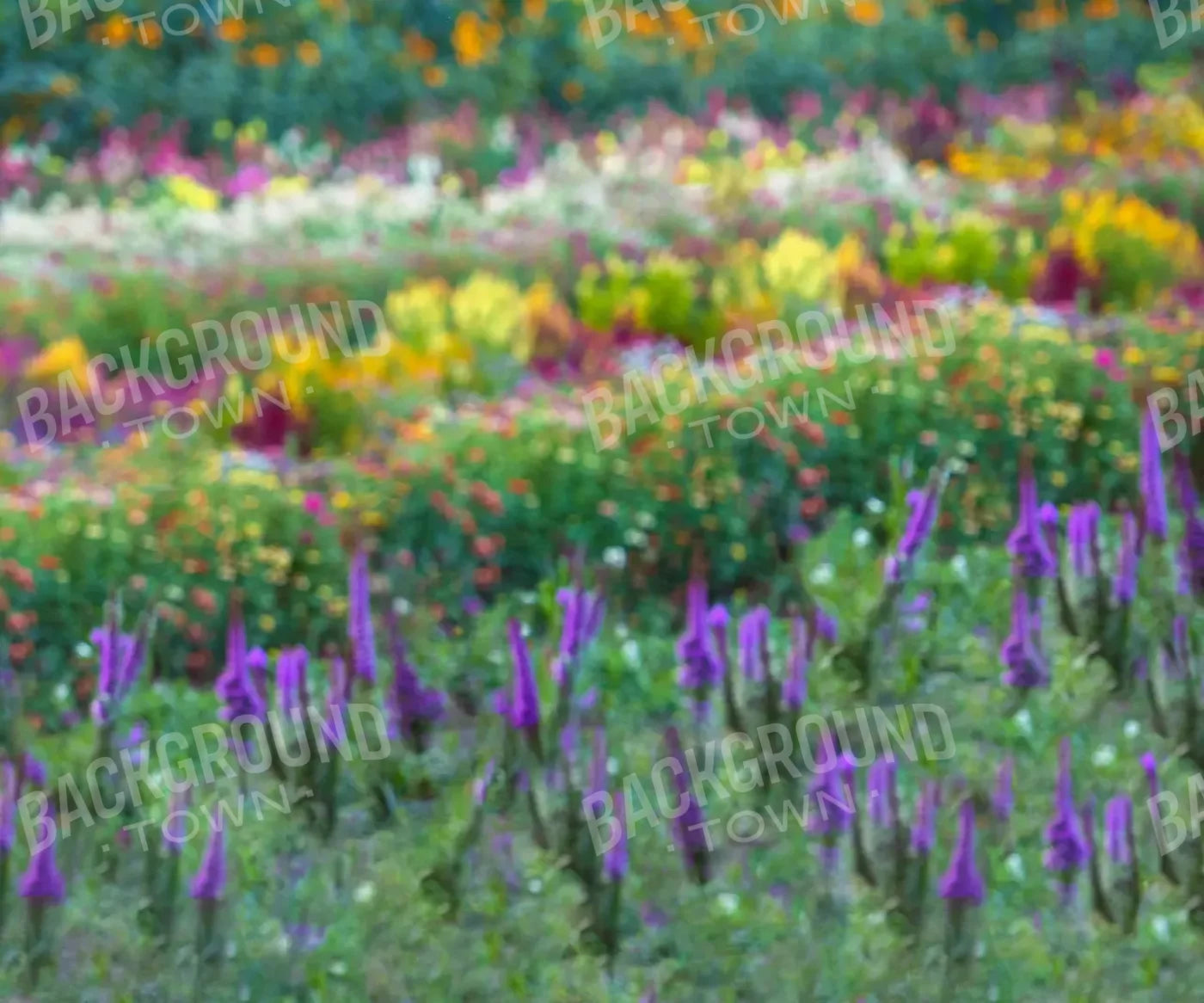 Fields Of Flowers 5X42 Fleece ( 60 X 50 Inch ) Backdrop