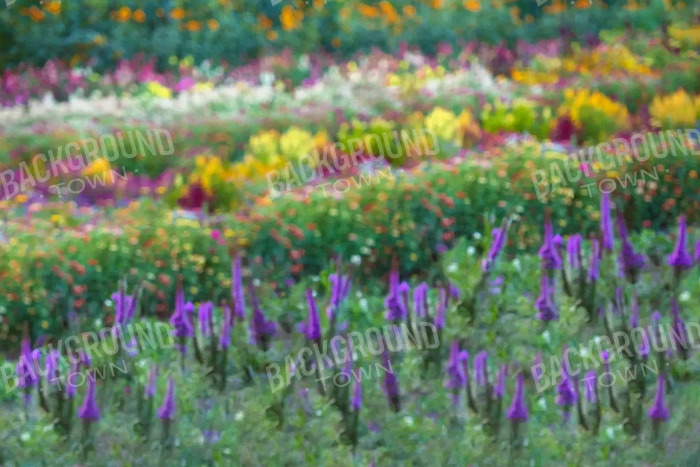 Fields Of Flowers 8X5 Ultracloth ( 96 X 60 Inch ) Backdrop