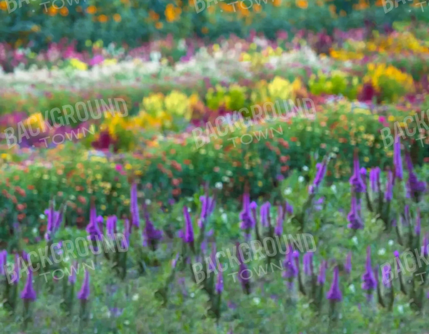 Fields Of Flowers 8X6 Fleece ( 96 X 72 Inch ) Backdrop