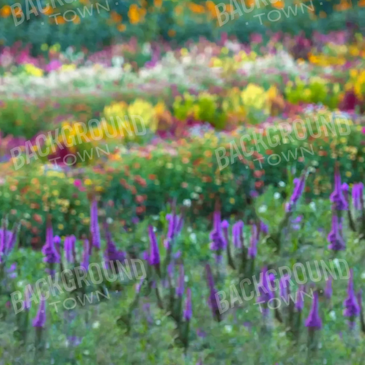 Fields Of Flowers 8X8 Fleece ( 96 X Inch ) Backdrop