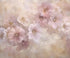 Pink  Backdrop for Photography