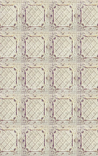 Fiona 10X16 Ultracloth ( 120 X 192 Inch ) Backdrop