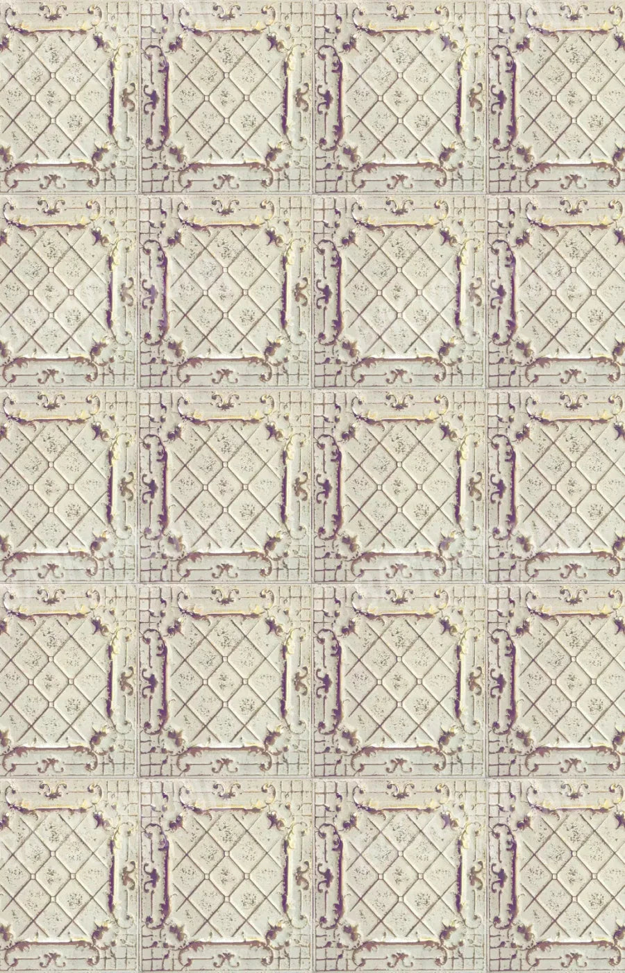 Fiona 8X12 Ultracloth ( 96 X 144 Inch ) Backdrop