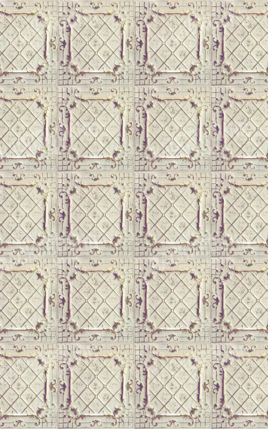Fiona 9X14 Ultracloth ( 108 X 168 Inch ) Backdrop