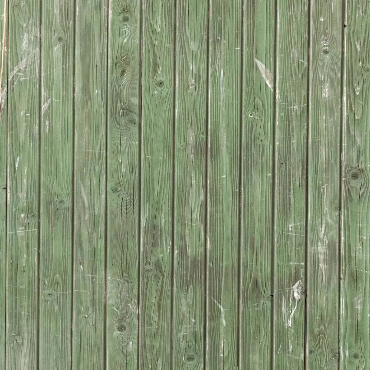 Fir Backdrop