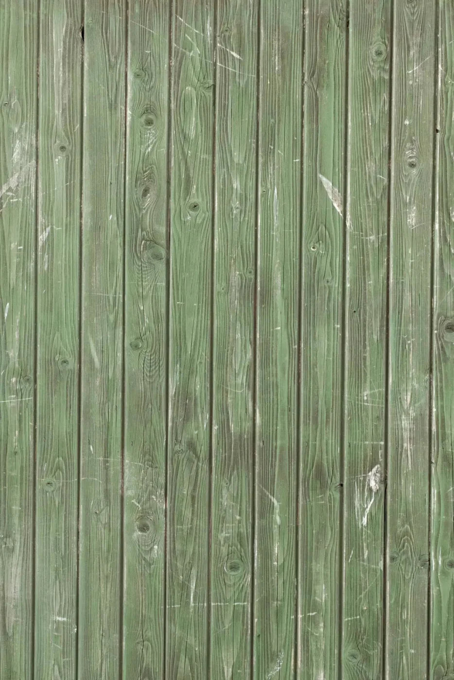 Fir Backdrop