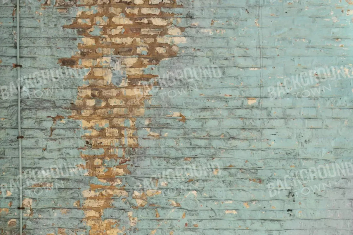 Firelane 8X5 Ultracloth ( 96 X 60 Inch ) Backdrop