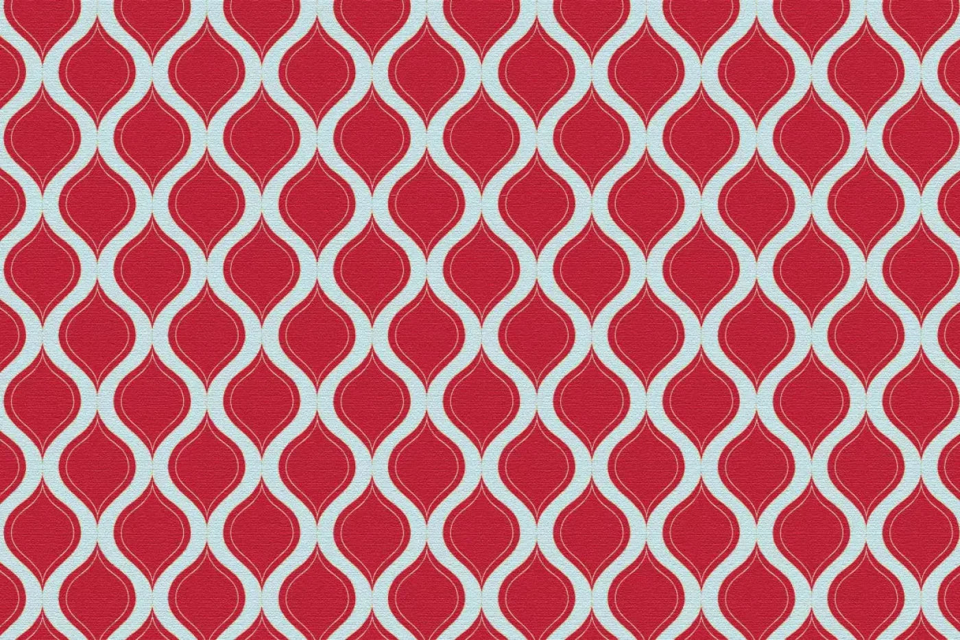 Fishnet Red Backdrop