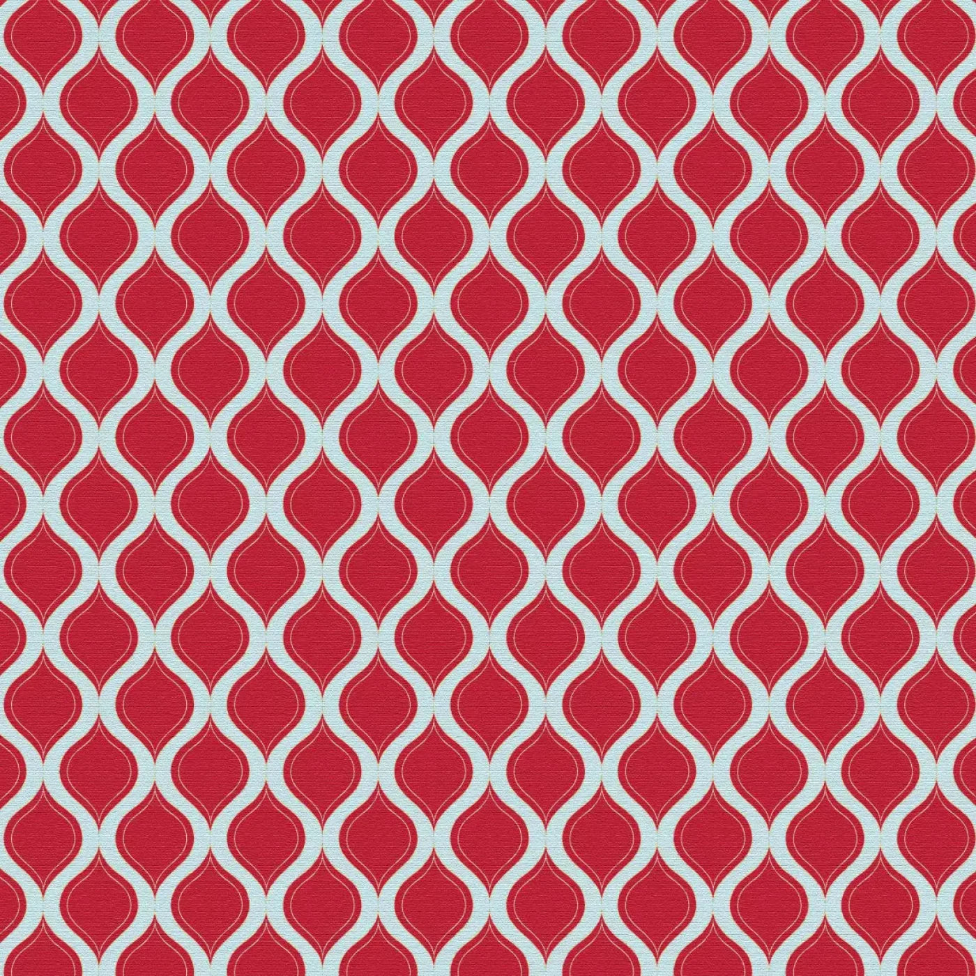 Fishnet Red Backdrop