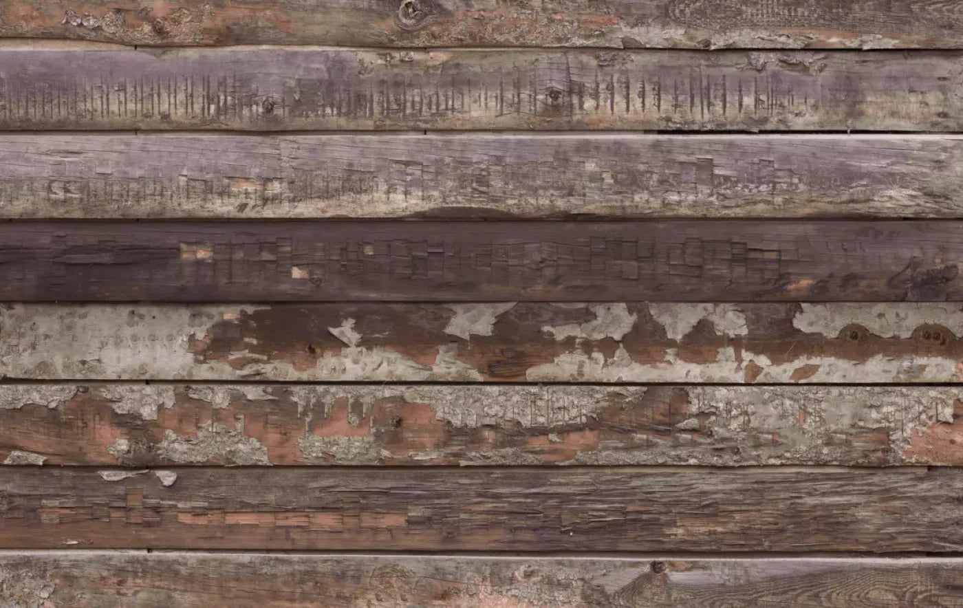 Fixer Upper 16X10 Ultracloth ( 192 X 120 Inch ) Backdrop