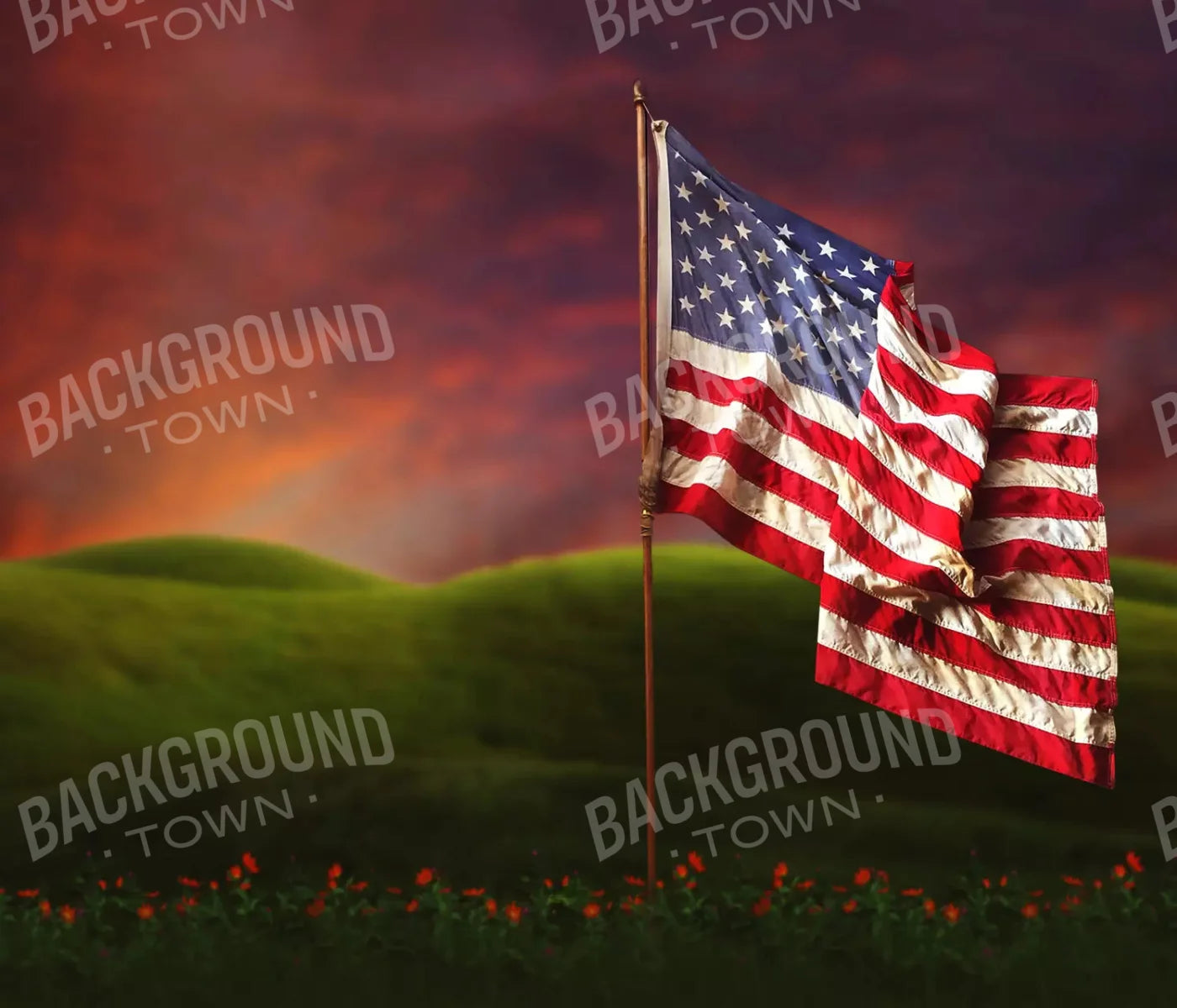 Flag In Meadow 12X10 Ultracloth ( 144 X 120 Inch ) Backdrop