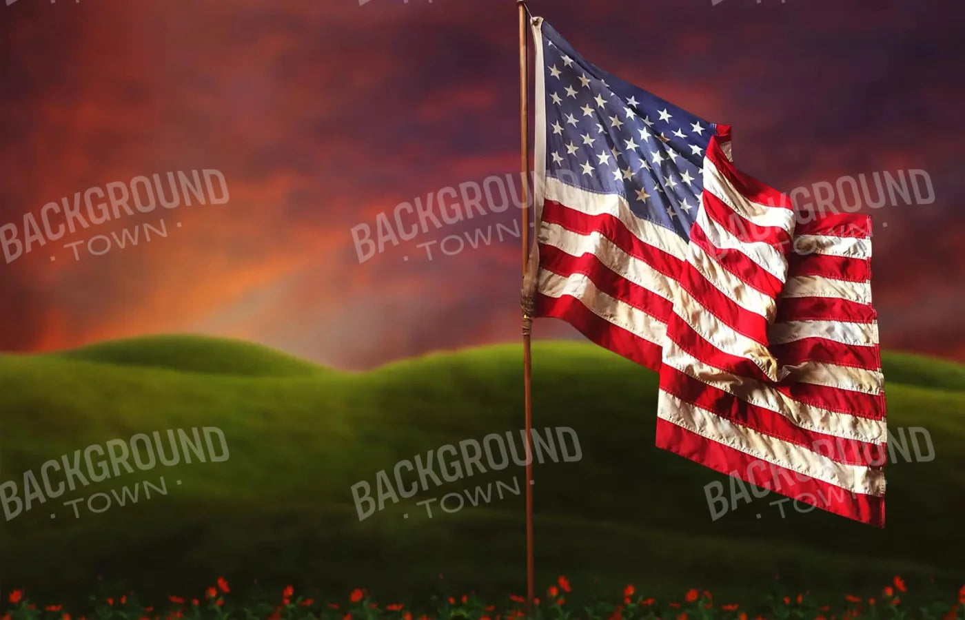 Flag In Meadow 12X8 Ultracloth ( 144 X 96 Inch ) Backdrop