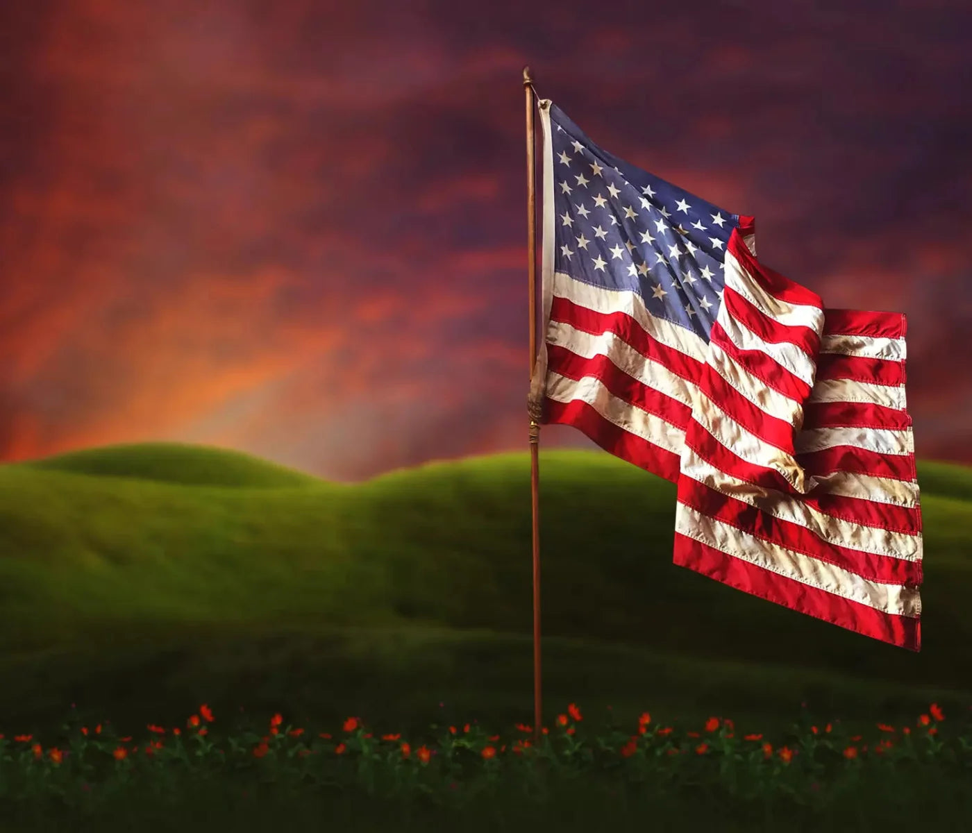 Flag In Meadow 12X10 Ultracloth ( 144 X 120 Inch ) Backdrop