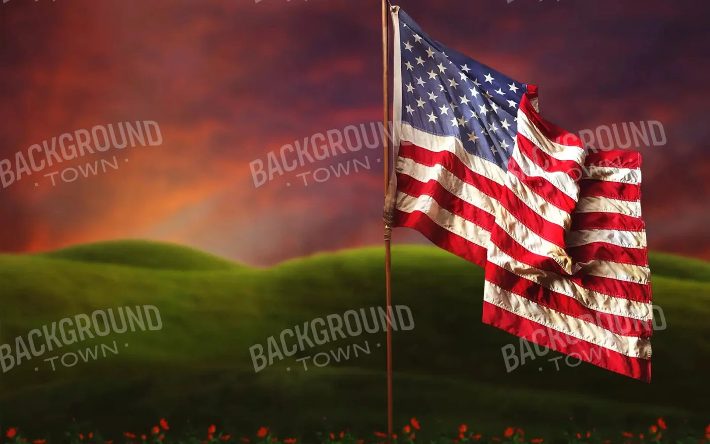 Flag In Meadow 14X9 Ultracloth ( 168 X 108 Inch ) Backdrop