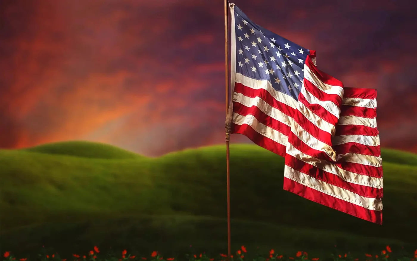Flag In Meadow 14X9 Ultracloth ( 168 X 108 Inch ) Backdrop