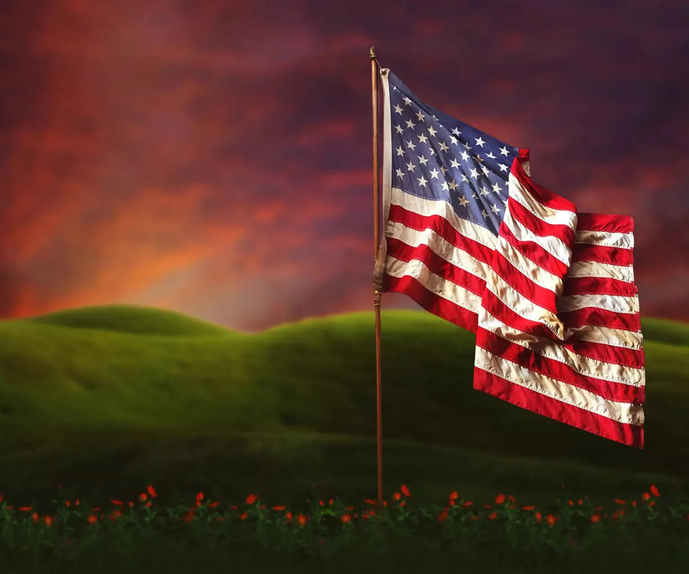 American flag in meadow Backdrop for Photography