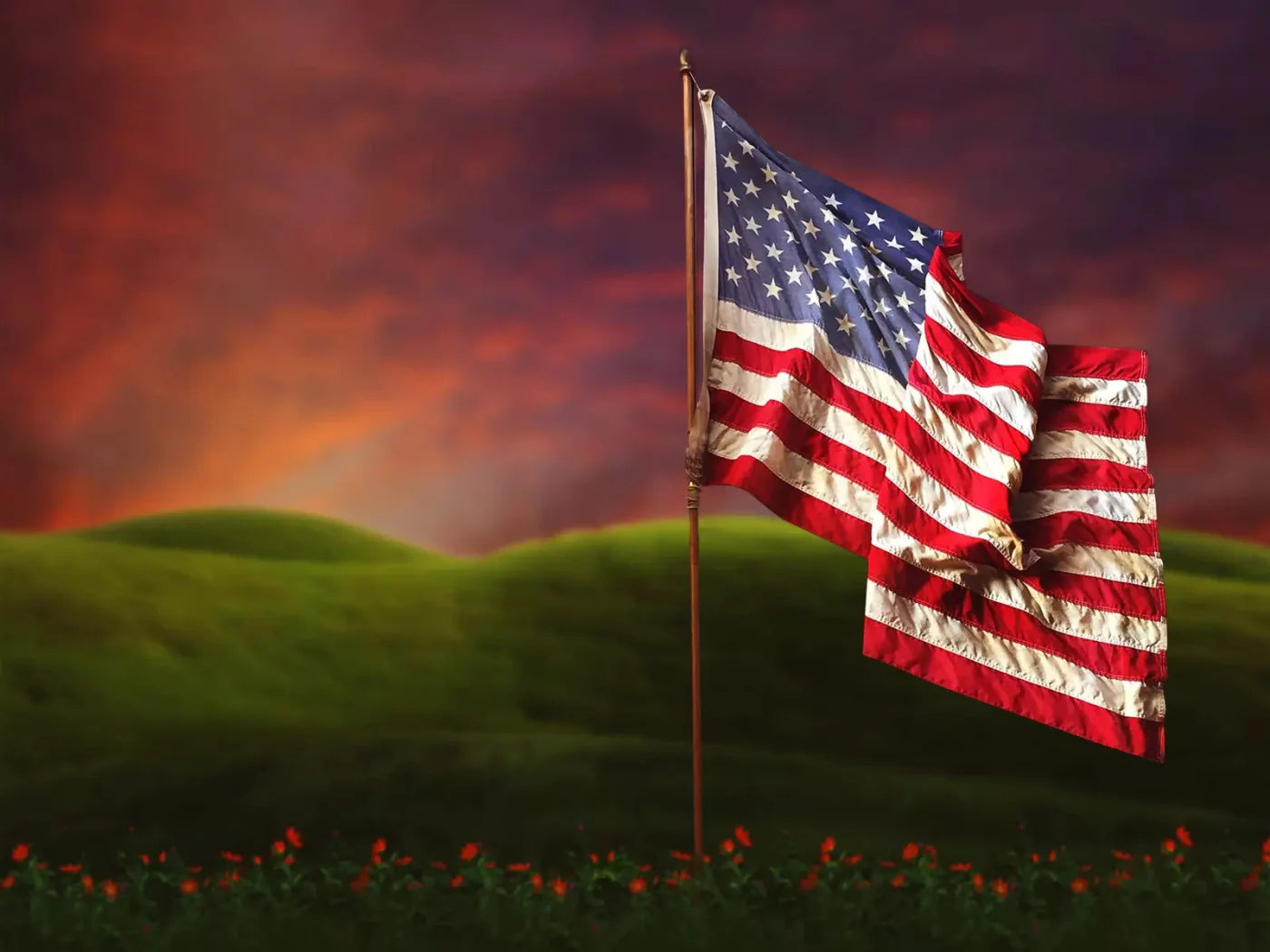 Flag In Meadow 68X5 Fleece ( 80 X 60 Inch ) Backdrop