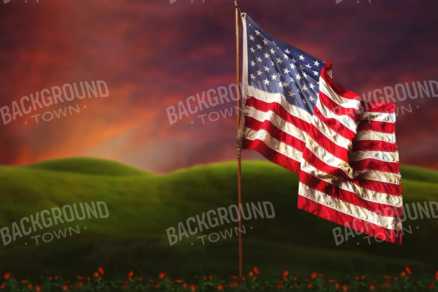 Flag In Meadow 8X5 Ultracloth ( 96 X 60 Inch ) Backdrop