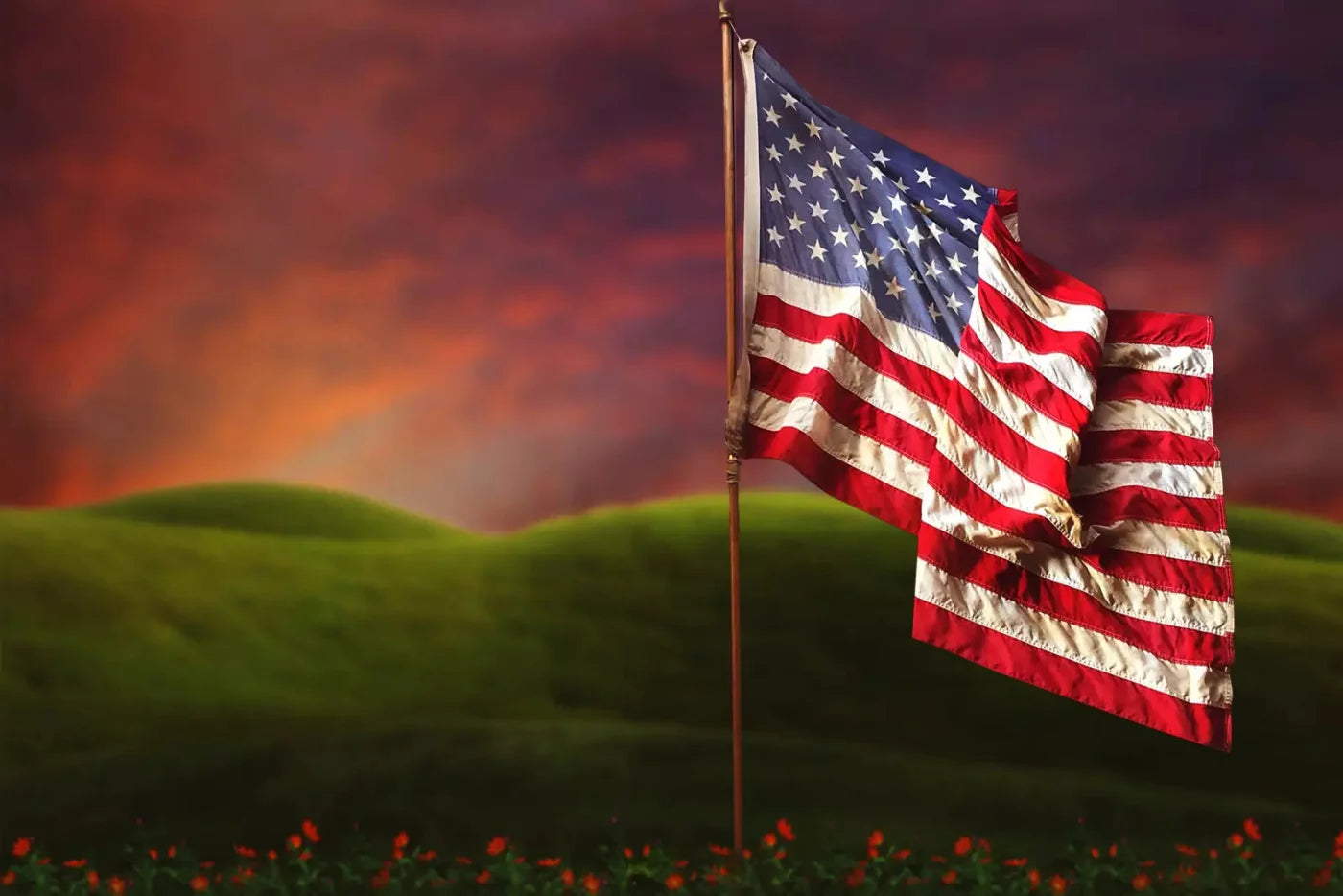 Flag In Meadow 8X5 Ultracloth ( 96 X 60 Inch ) Backdrop