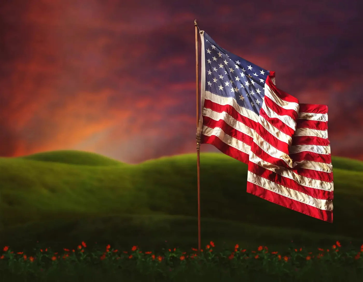 Flag In Meadow 8X6 Fleece ( 96 X 72 Inch ) Backdrop
