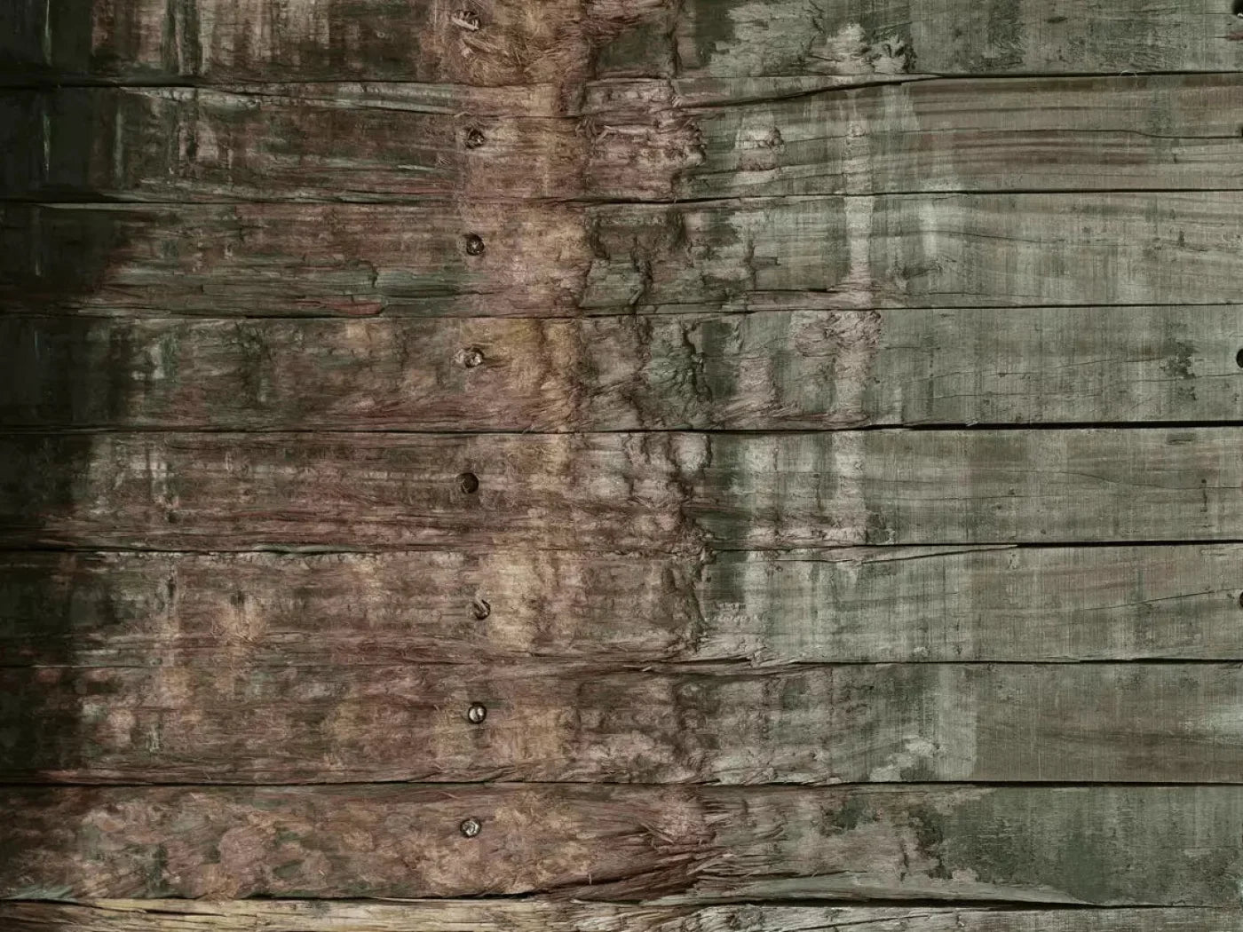 Flawed 10X8 Fleece ( 120 X 96 Inch ) Backdrop