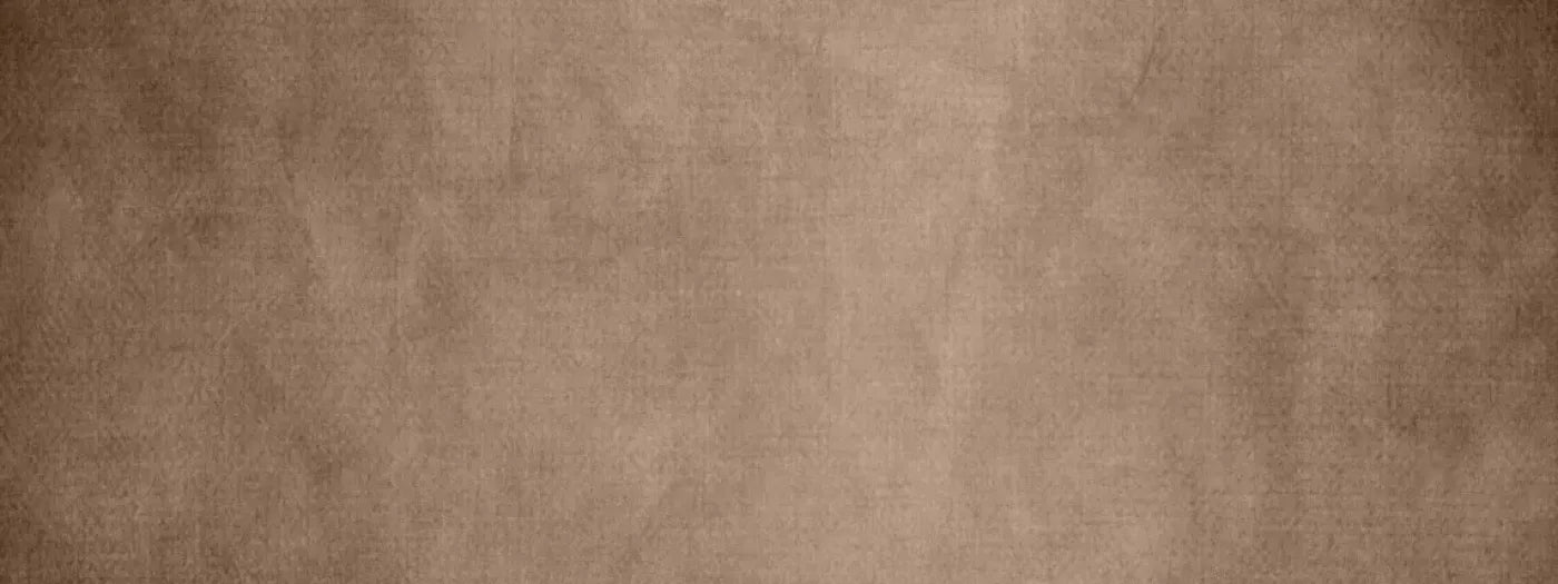 Floyd 20’X8’ Ultracloth (240 X 96 Inch) Backdrop