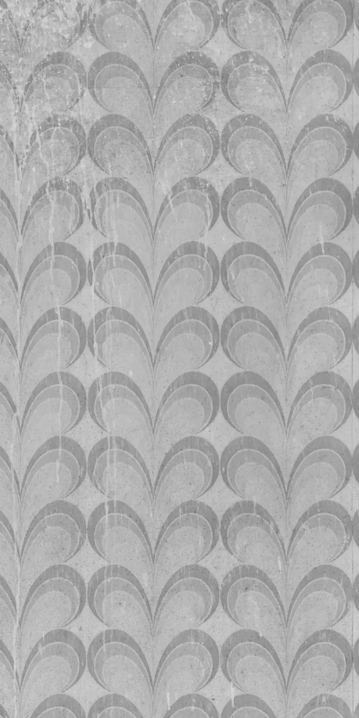 Flutterby 10X20 Ultracloth ( 120 X 240 Inch ) Backdrop