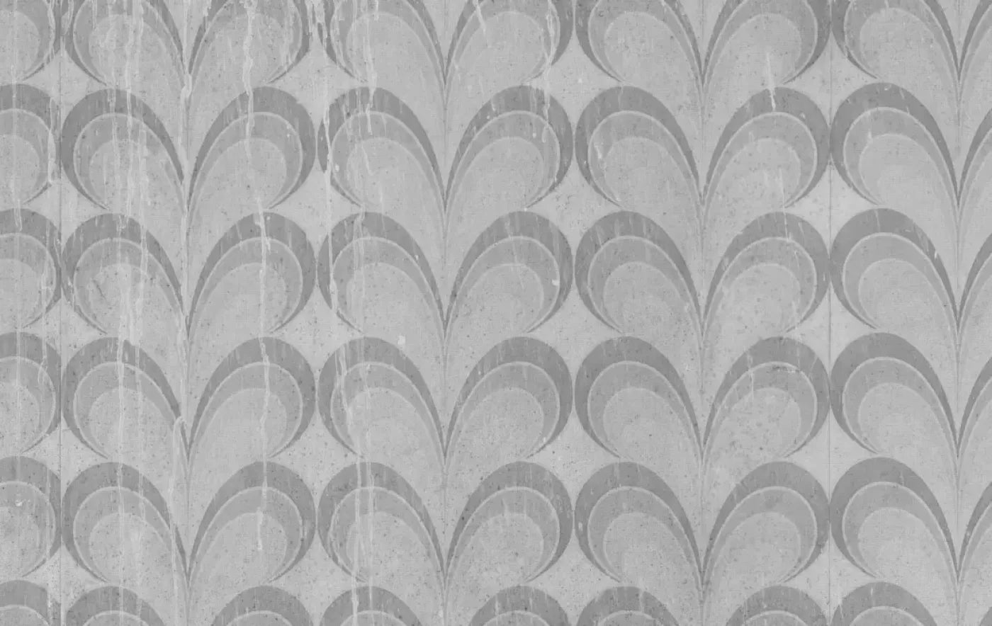 Flutterby 16X10 Ultracloth ( 192 X 120 Inch ) Backdrop