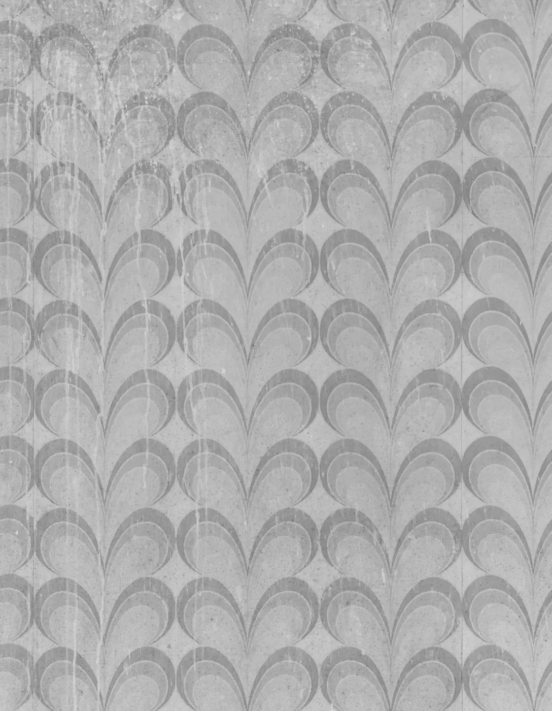 Flutterby 6X8 Fleece ( 72 X 96 Inch ) Backdrop