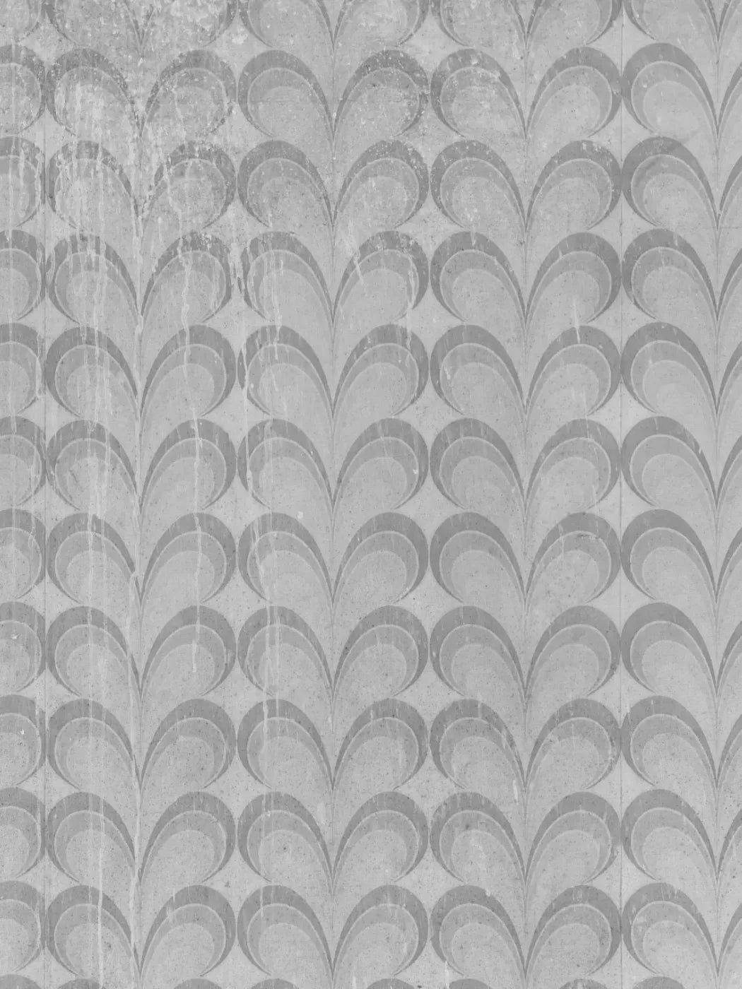Flutterby 8X10 Fleece ( 96 X 120 Inch ) Backdrop