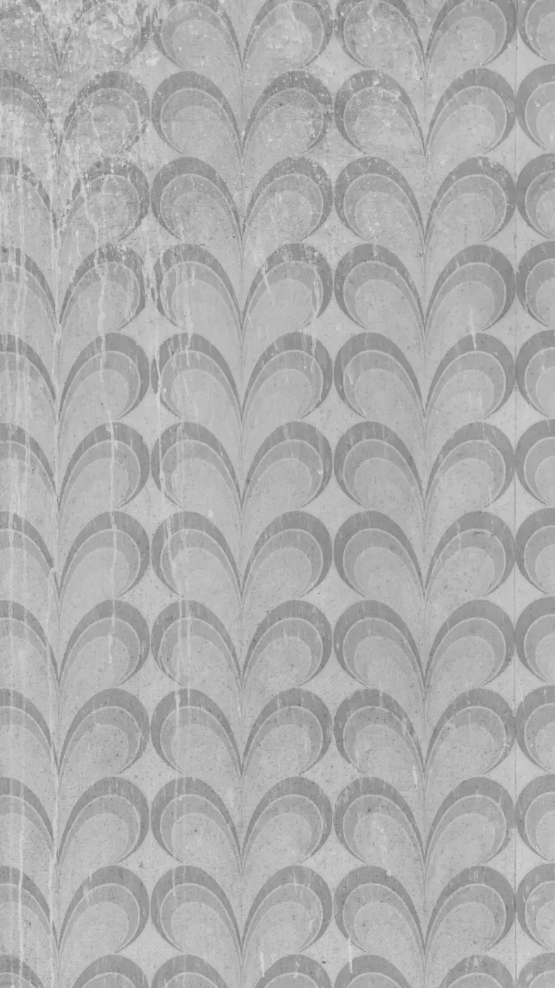 Flutterby 8X14 Ultracloth ( 96 X 168 Inch ) Backdrop