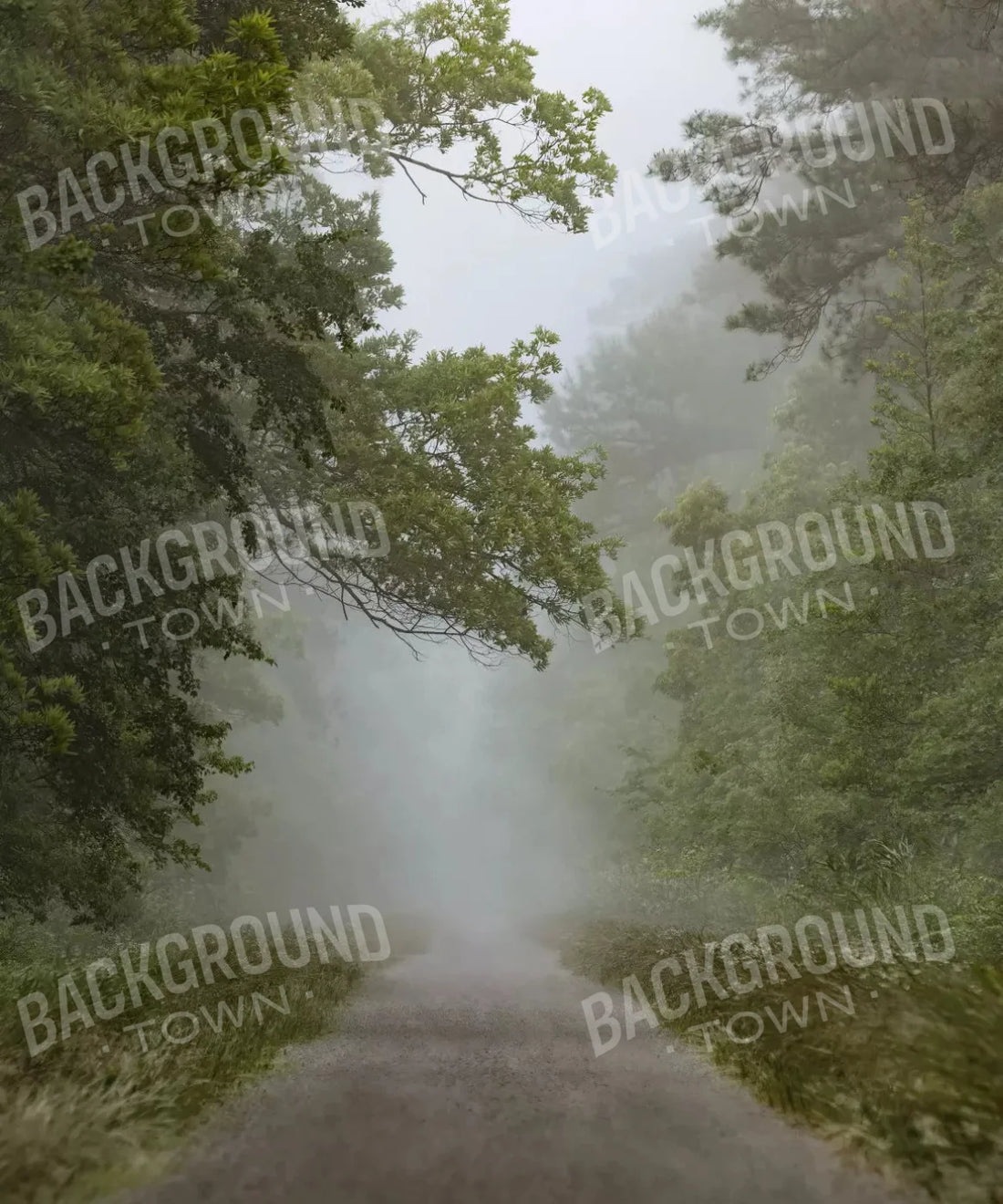 Foggy road in the forest Backdrop for Photography