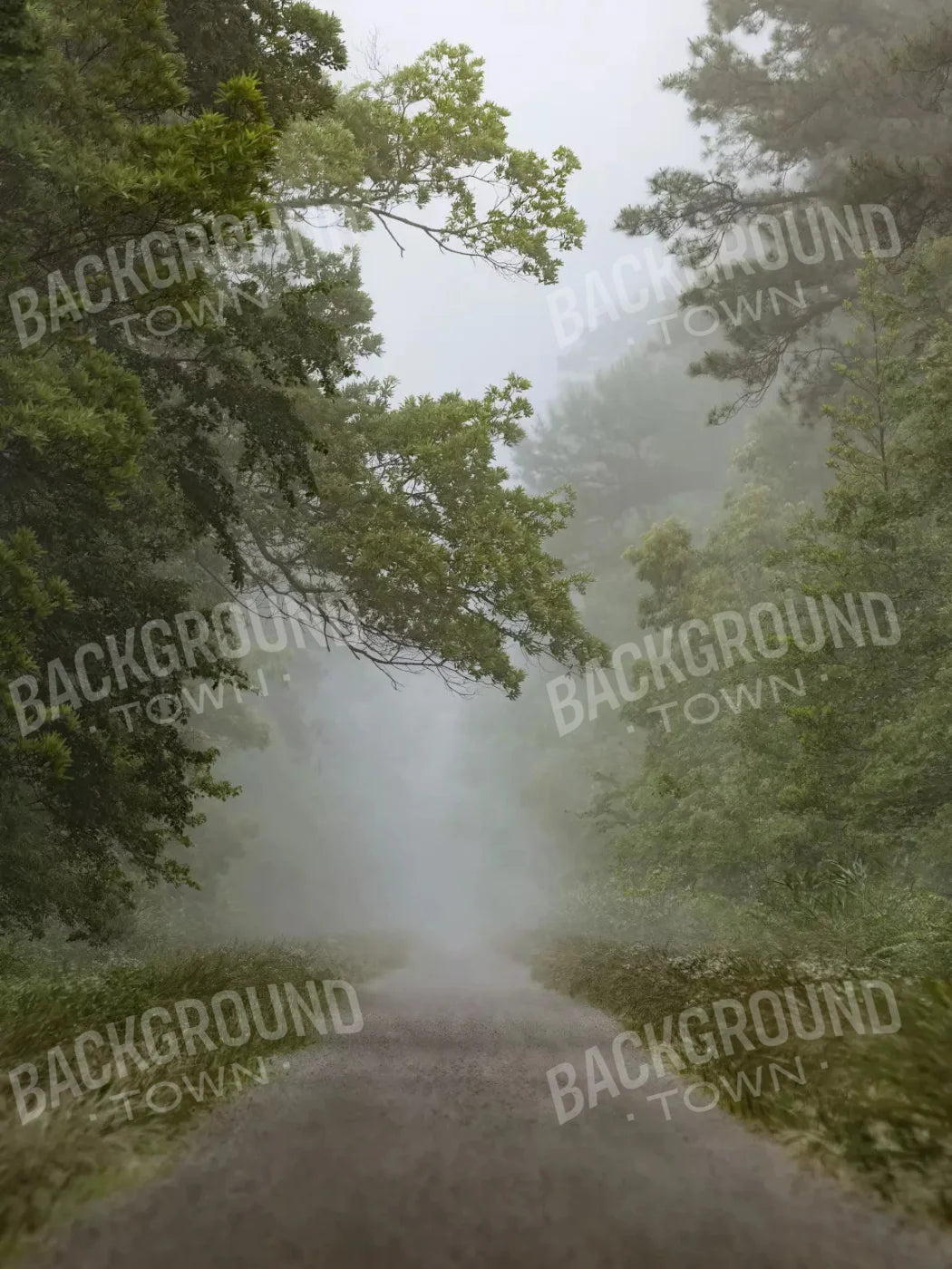 Foggy Morning 5X7 Ultracloth ( 60 X 84 Inch ) Backdrop