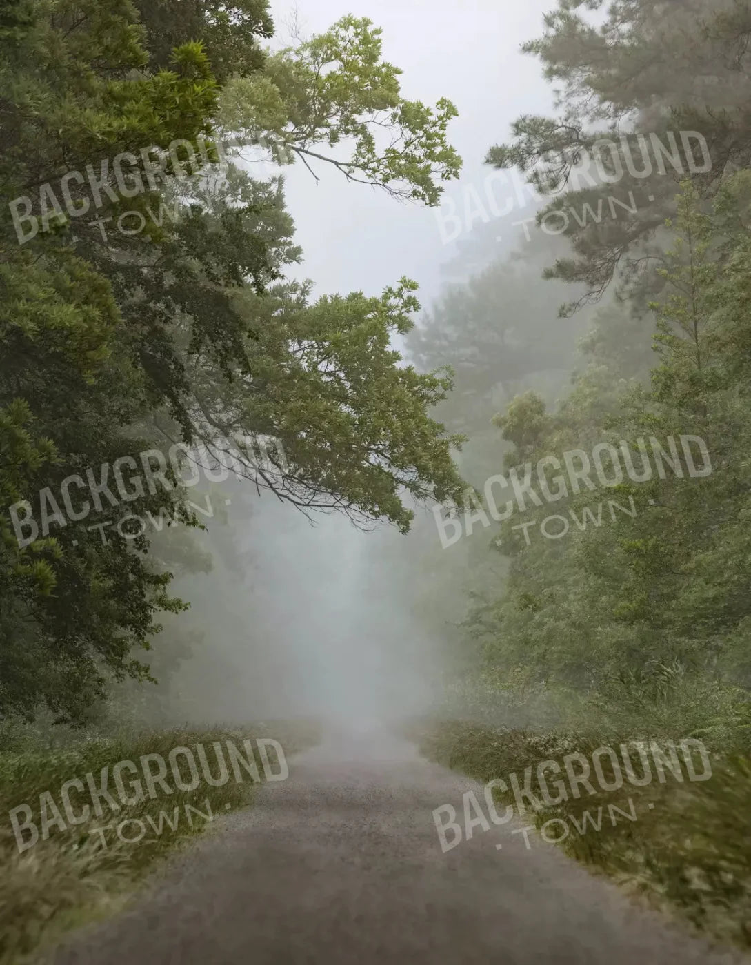 Foggy Morning 6X8 Fleece ( 72 X 96 Inch ) Backdrop