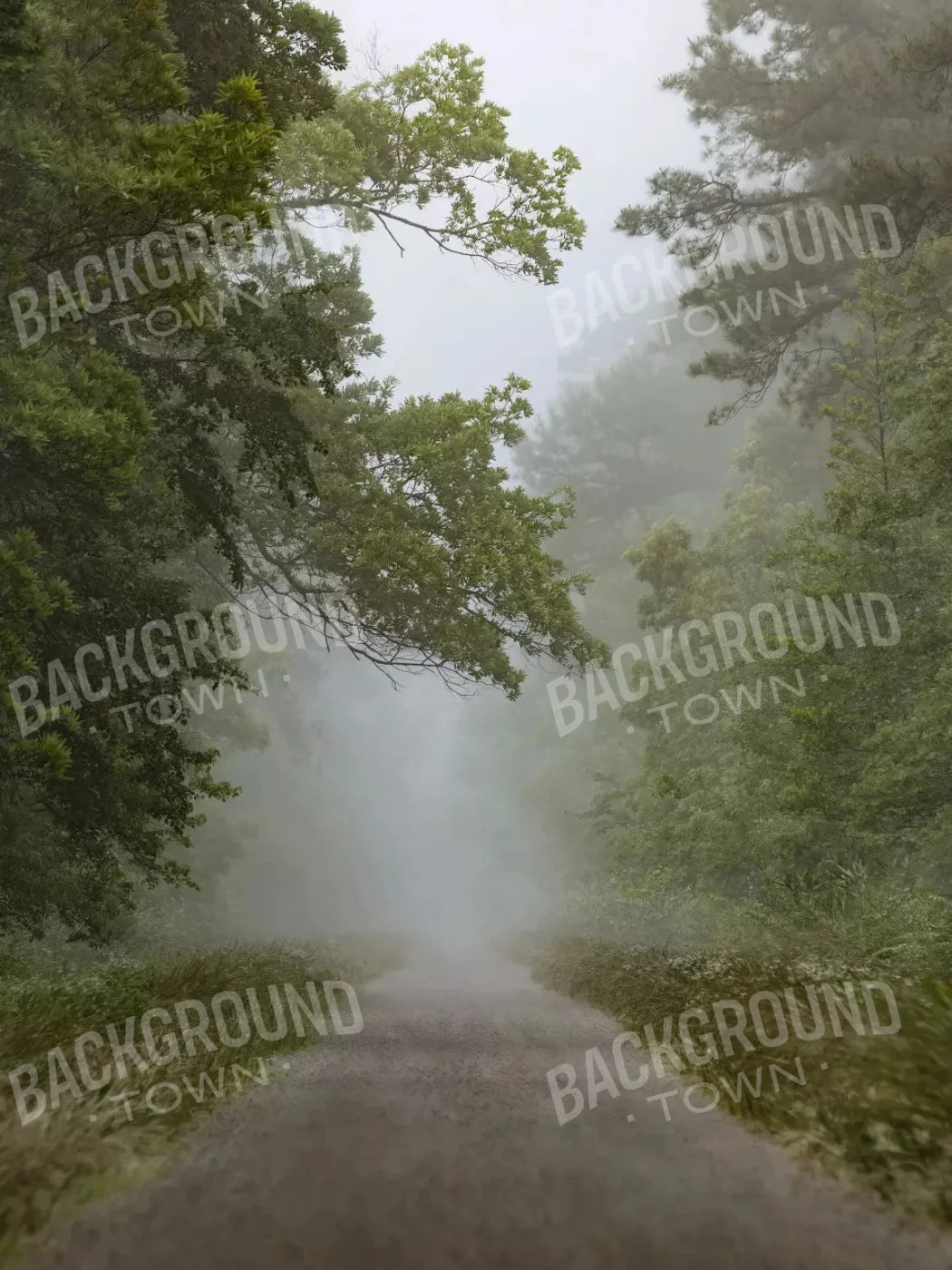 Foggy Morning 8X10 Fleece ( 96 X 120 Inch ) Backdrop