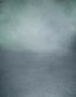 Foggy Path 6X8 Fleece ( 72 X 96 Inch ) Backdrop