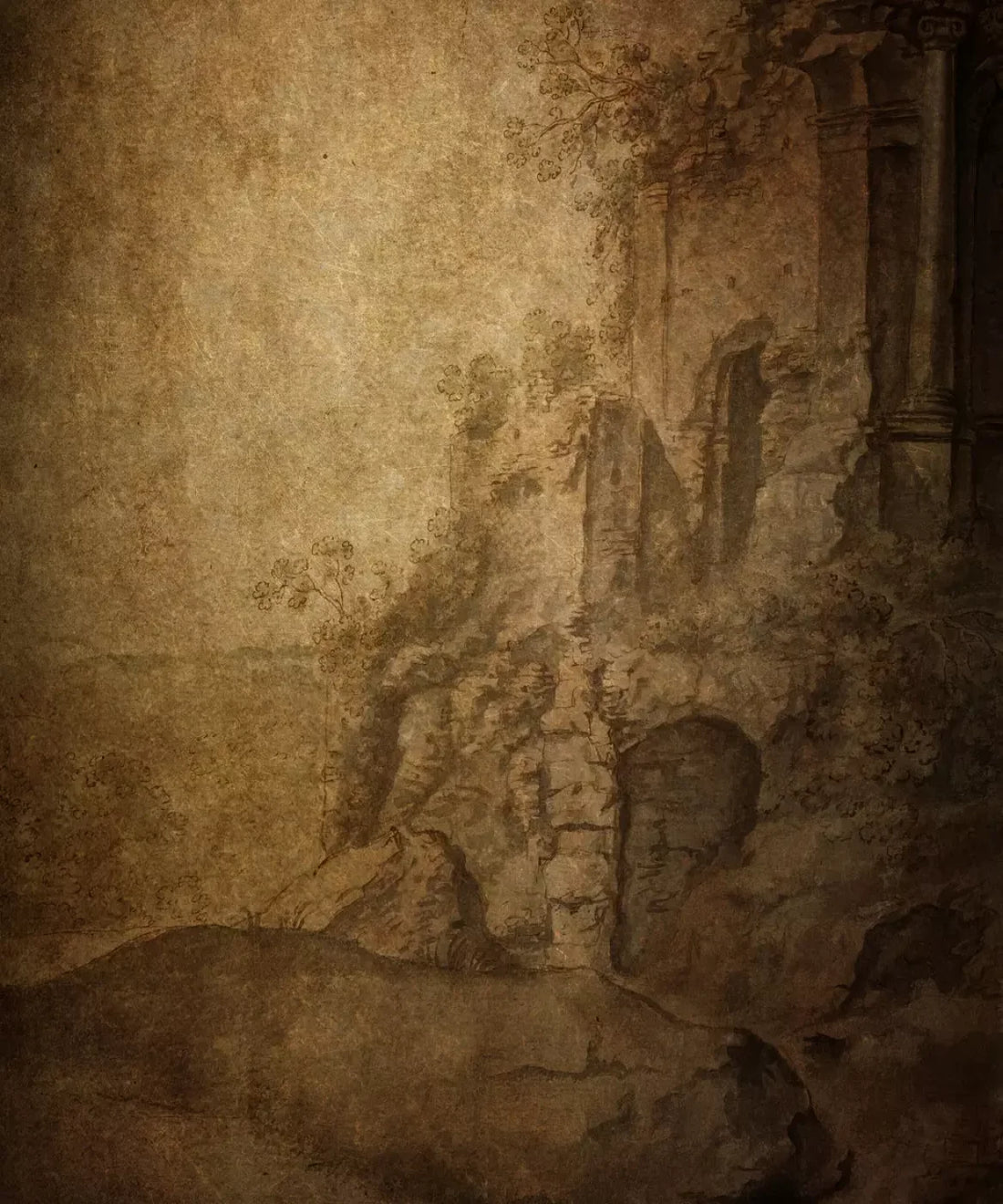 Beige Backdrop for Photography