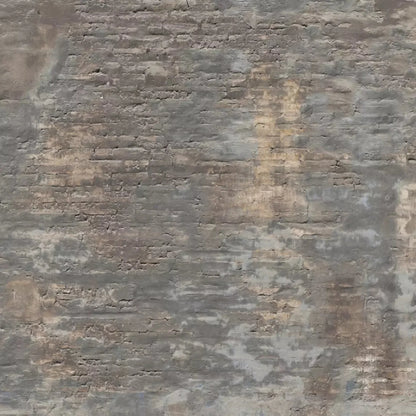 Foreclosed 10X10 Ultracloth ( 120 X Inch ) Backdrop