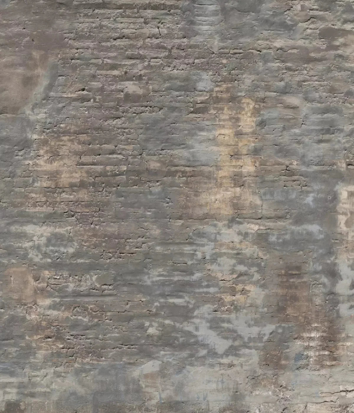 Foreclosed 10X12 Ultracloth ( 120 X 144 Inch ) Backdrop