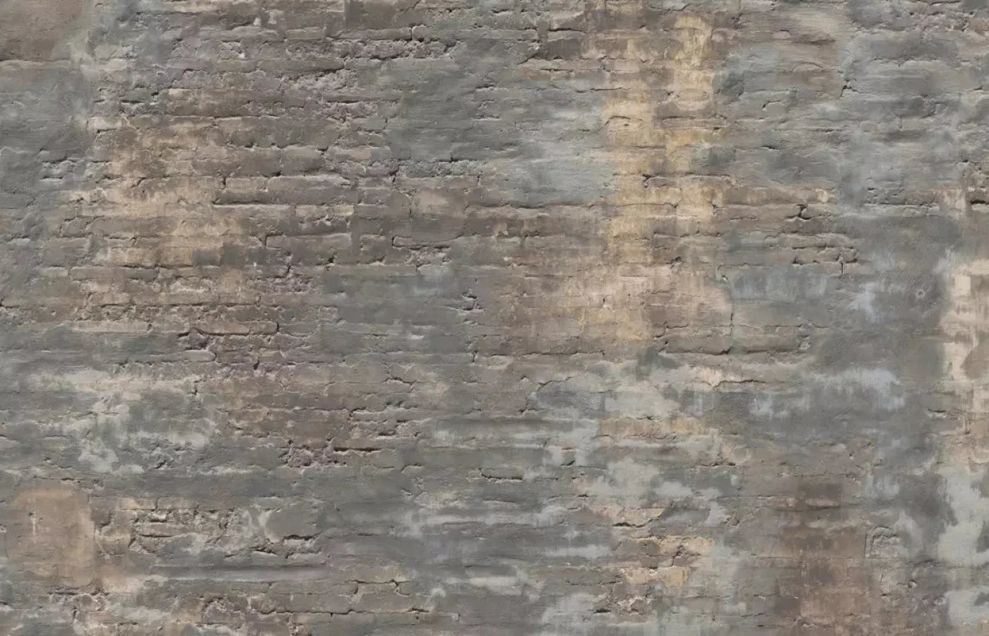 Foreclosed 12X8 Ultracloth ( 144 X 96 Inch ) Backdrop