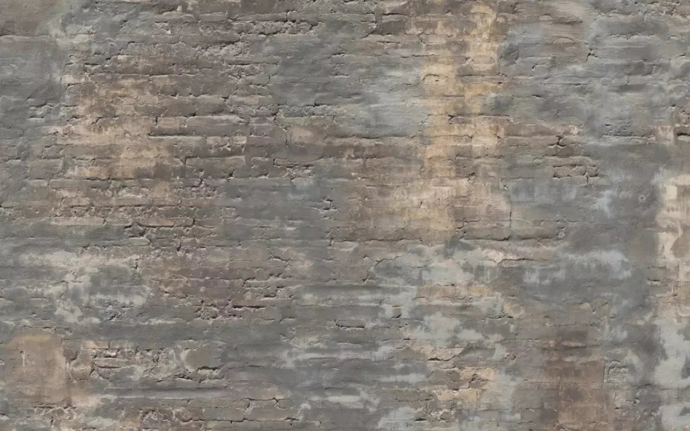 Foreclosed 14X9 Ultracloth ( 168 X 108 Inch ) Backdrop